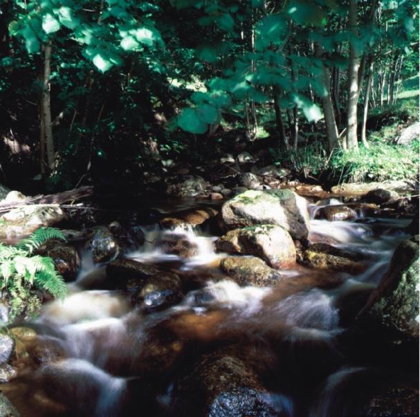 Hensbacka Herrgard Munkedal Dış mekan fotoğraf