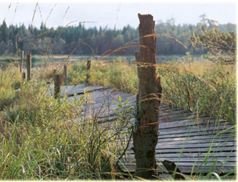 Hensbacka Herrgard Munkedal Dış mekan fotoğraf